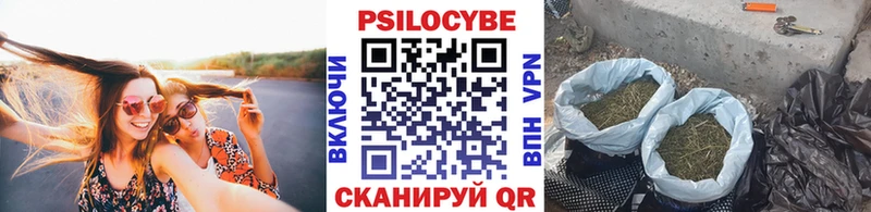 ссылка на мегу маркетплейс Мышкин Галлюциногенные грибы ЛСД